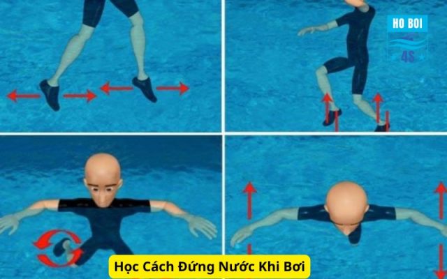 Học Cách Đứng Nước Khi Bơi